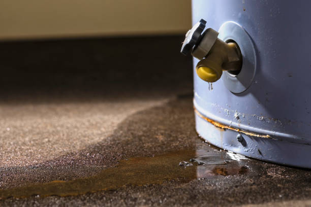 Reliable Brittany Farms The Highlands, PA Water damage restoration Solutions