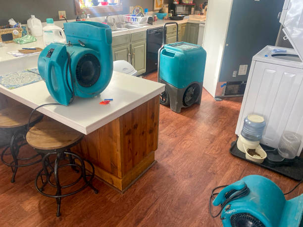 Best Water damage contractors near me  in Brittany Farms The Highlands, PA