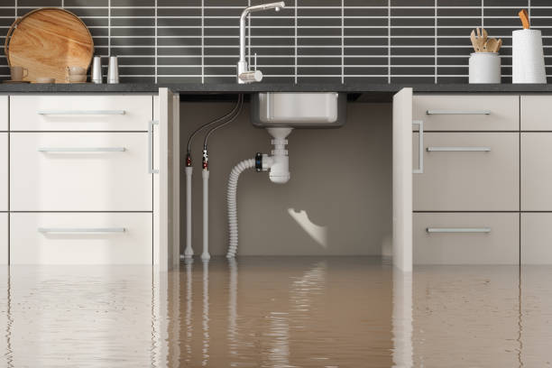 Best Basement water damage restoration  in Brittany Farms The Highlands, PA