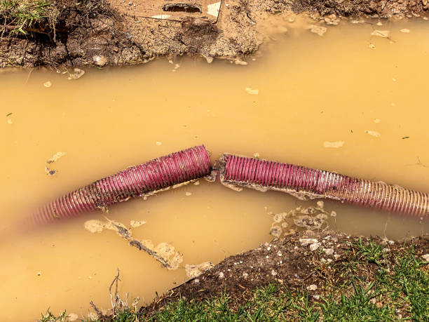 Best Residential water damage restoration  in Brittany Farms The Highlands, PA