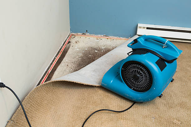 Best Water damage cleanup near me  in Brittany Farms The Highlands, PA